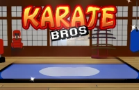 Karate Bros