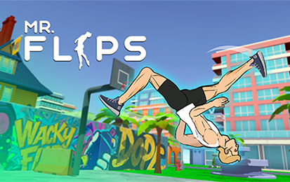 Mr Flip